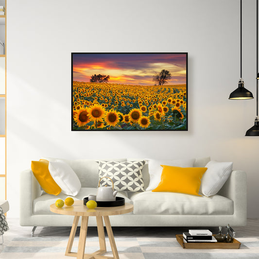 MISITU Puzzle Sunflower Jigsaw Puzzles 1000 Pieces Puzzles for Adults 28 x 20 Inches