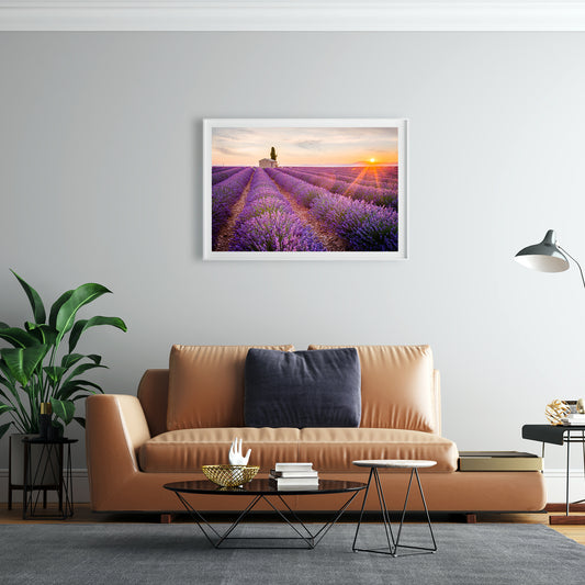 MISITU Puzzle Lavender Jigsaw Puzzles 1000 Pieces Puzzles for Adults 28 x 20 Inches